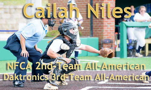 Niles Earns All-America Honors from NFCA and Daktronics