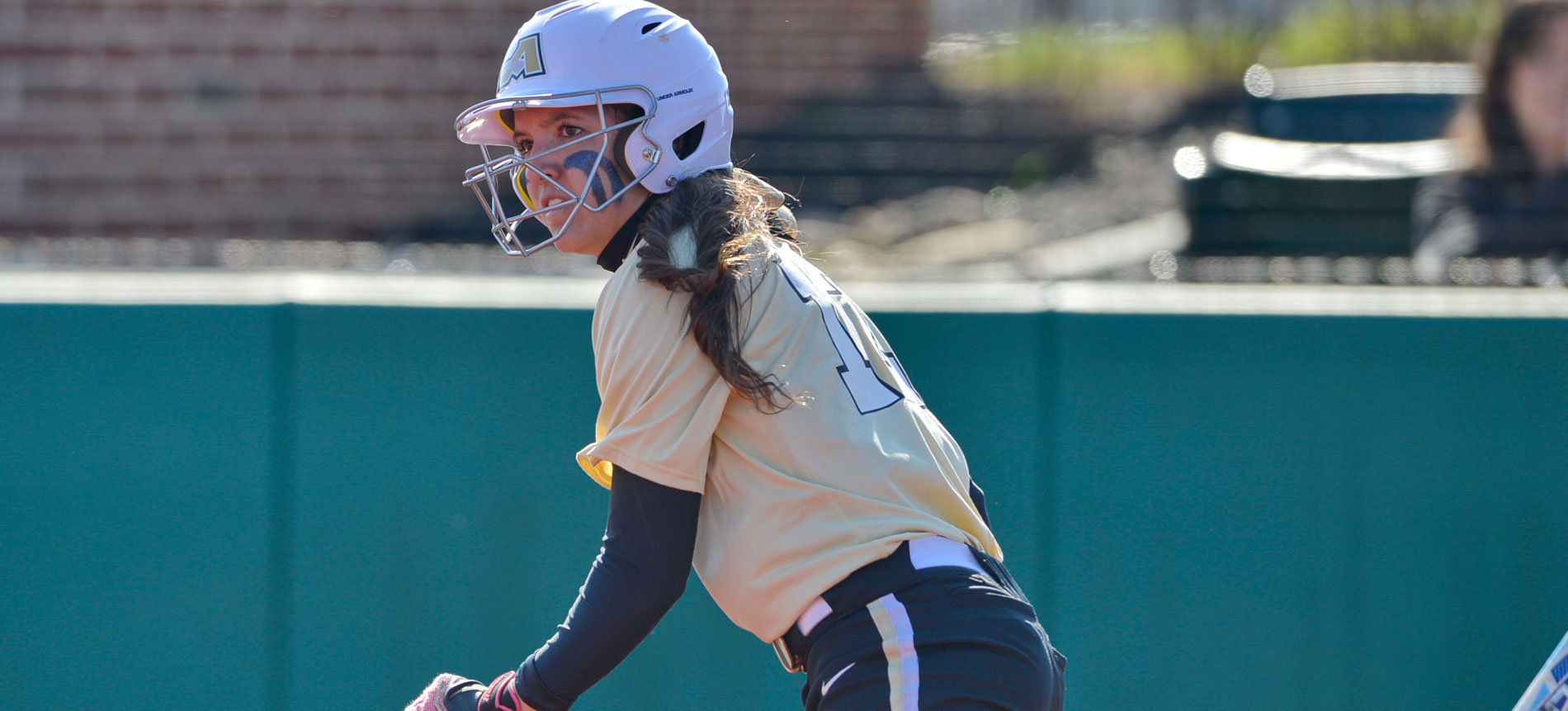 Softball Drops Two Road Contests