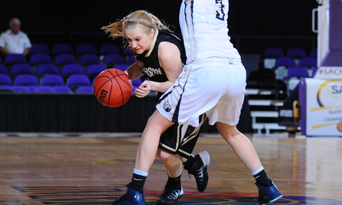 Women’s Basketball Game Notes Released for SAC Tournament
