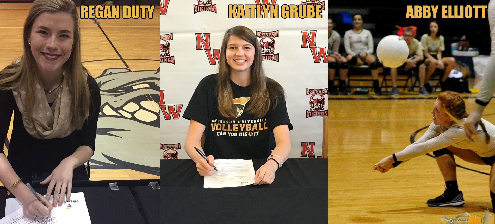 Volleyball Adds Three for 2017