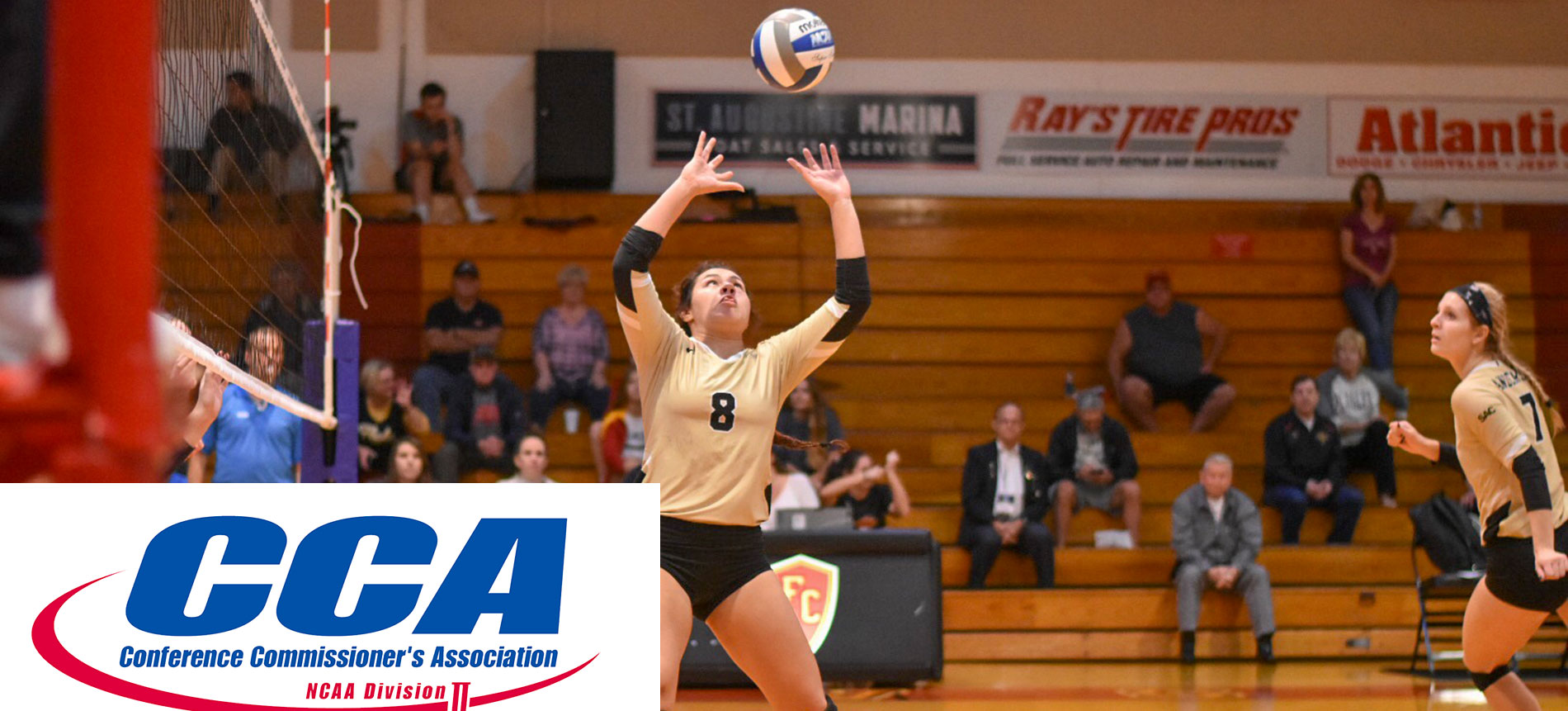 Conlin Earns Honorable Mention All-America Honors