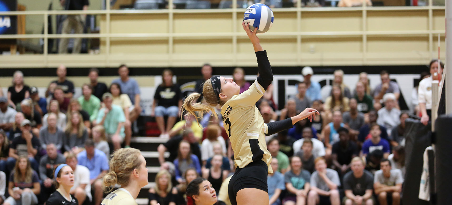 Volleyball Opens Six-Match Homestand by Playing Host to Tusculum and Mars Hill