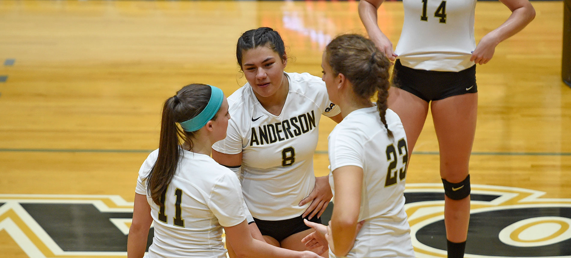Volleyball Heads to Volunteer State Riding Five-Match Win Streak