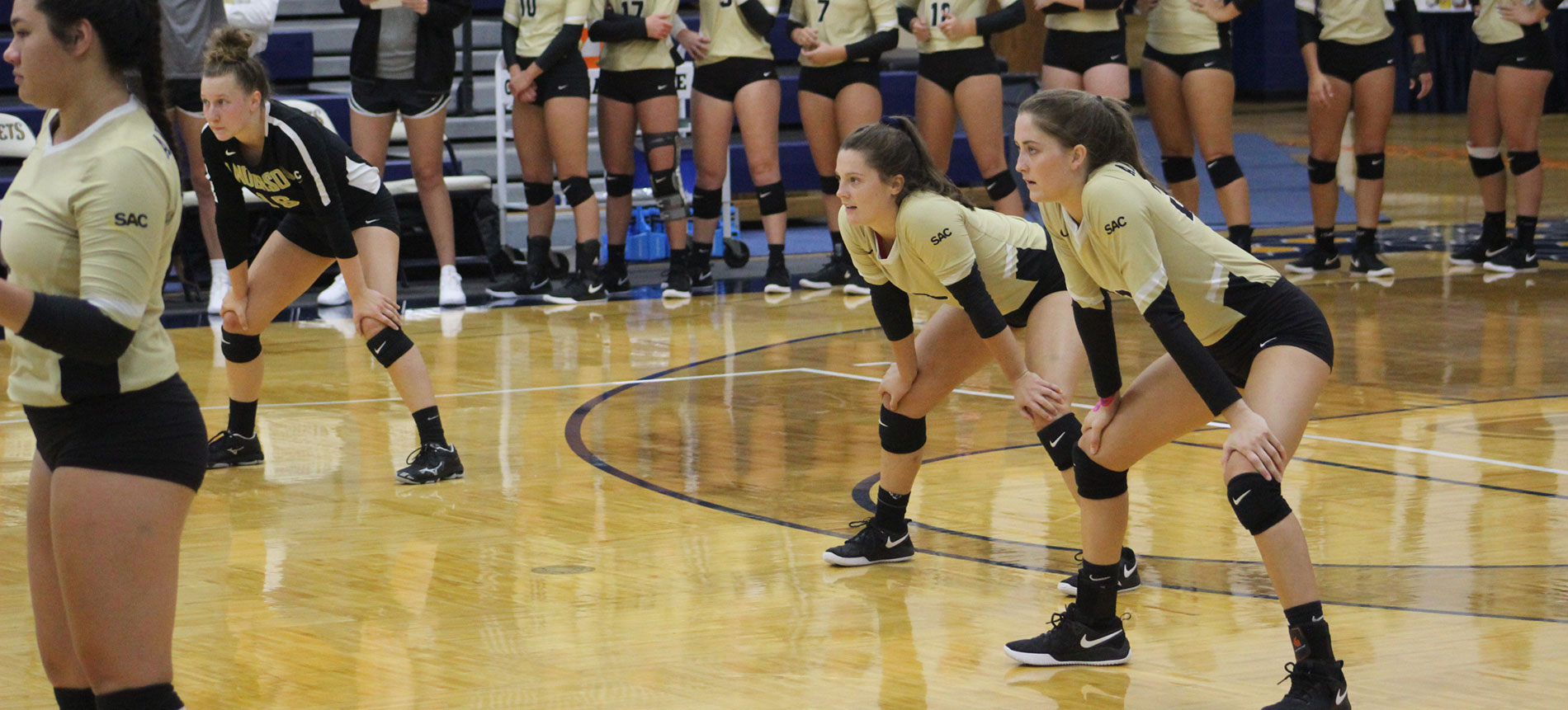 Volleyball Notches Hard-Earned Road Win over Lenoir-Rhyne