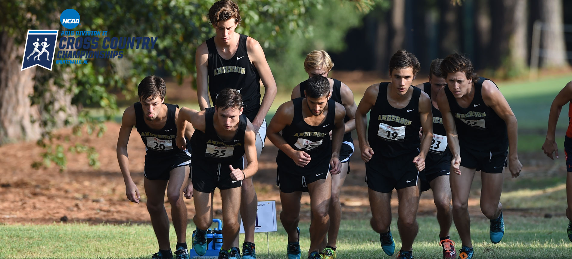Cross Country Readies for NCAA Regional Championships