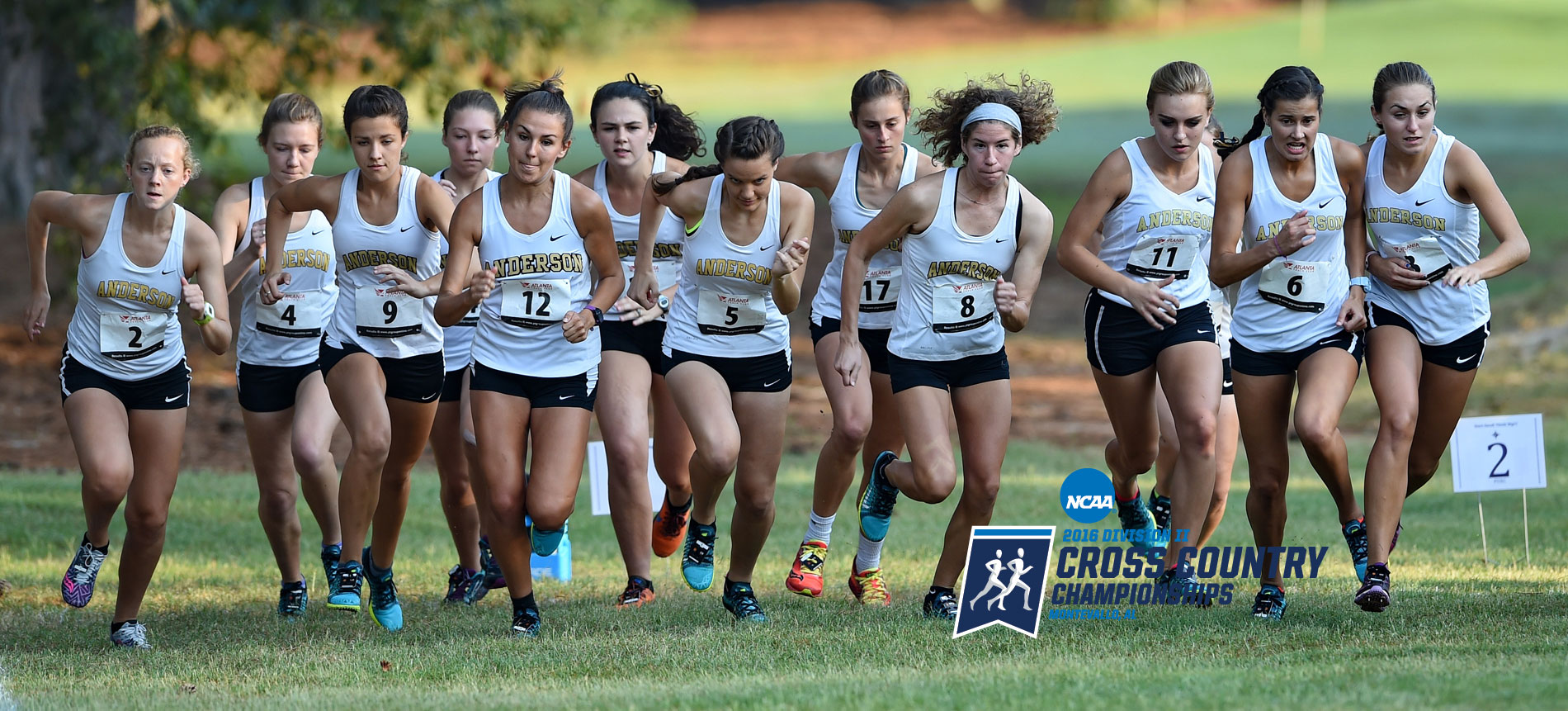 Cross Country Readies for NCAA Regional Championships