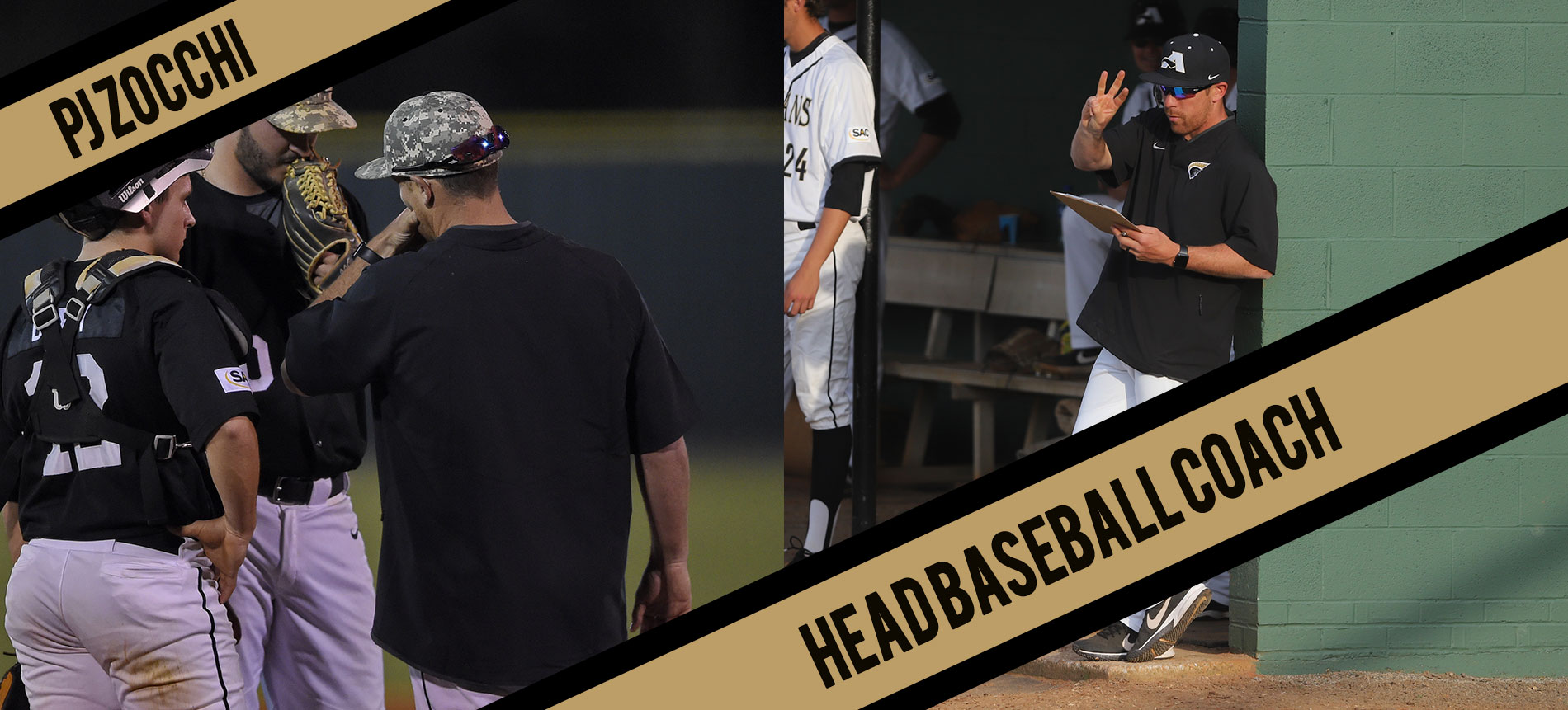 Zocchi Selected to Lead Anderson University Baseball
