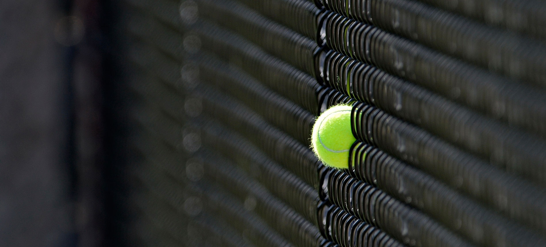 Women’s Tennis Finishes up Fall Season