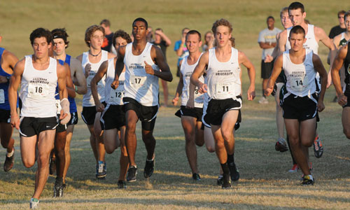 Men’s Cross Country Places 32nd at Louisville Classic