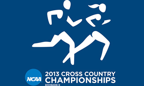 Men’s Cross Country Places 17th at Southeast Regional