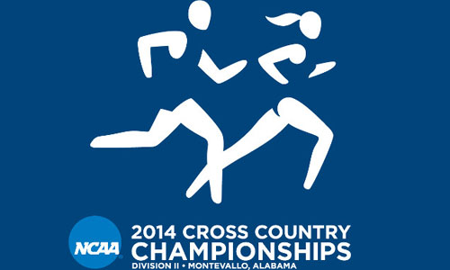 Men’s Cross Country Captures 16th at NCAA Southeast Regional Championships