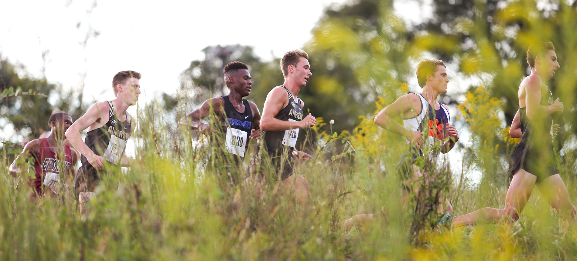 Men’s Cross Country Claims Fifth Place at NCAA Southeast Regionals