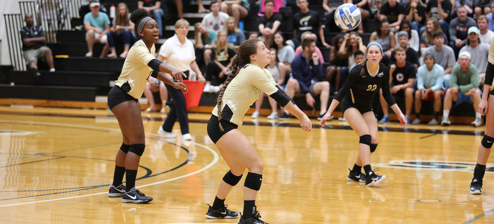 Volleyball Continues Homestand by Playing Host to Catawba