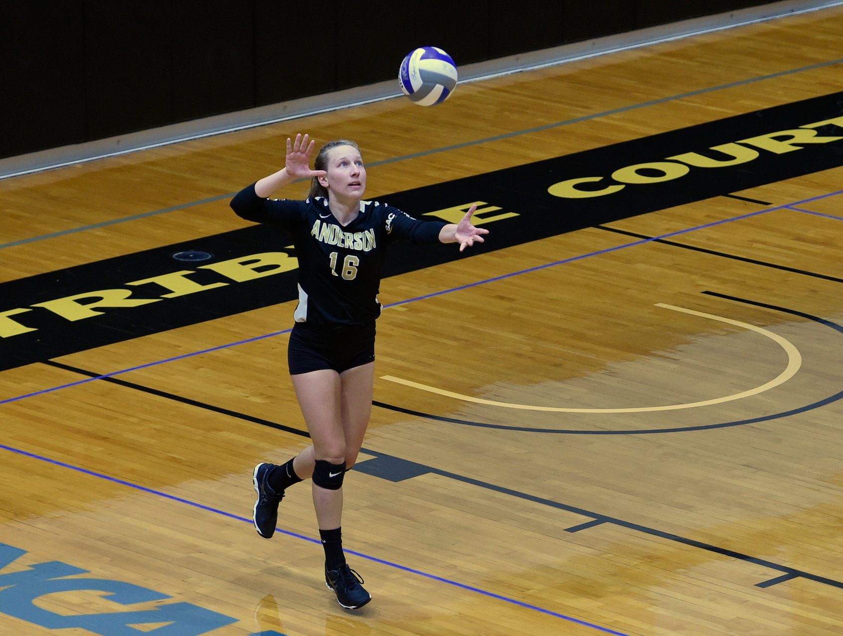 Volleyball Stays Perfect in Conference Play with Win at Lenoir-Rhyne