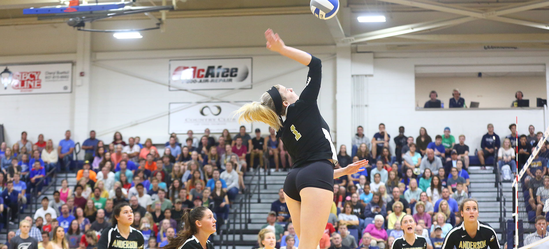 Volleyball Set to Open Home Schedule by Playing Host Carson-Newman and Lincoln Memorial