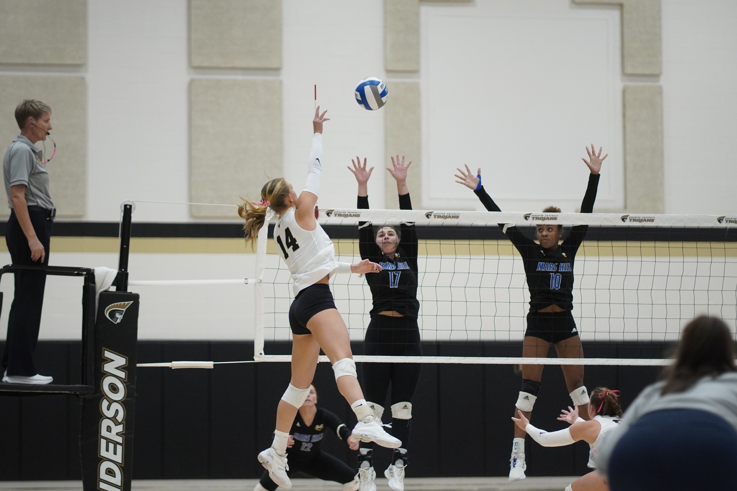 Win Streak Stretches to Double-Digits with 3-0 Sweep of Lions